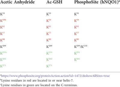Redox state and the sirtuin deacetylases are major factors that regulate the acetylation status of the <mark class="highlighted">stress protein</mark> NQO1
